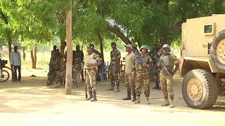 Cameroun, LUTTE CONTRE BOKO HARAM, L'ARMÉE AU FRONT