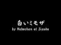 白いミモザ by Nabechan at Sizuka