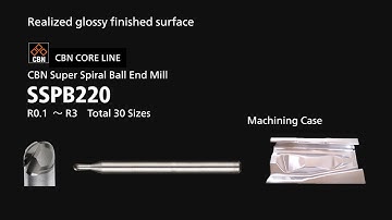 NS TOOL Machining: SSPB220 Automobiles Parts Press Mold