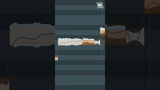 Useful Tips For Using Newtone #Shorts