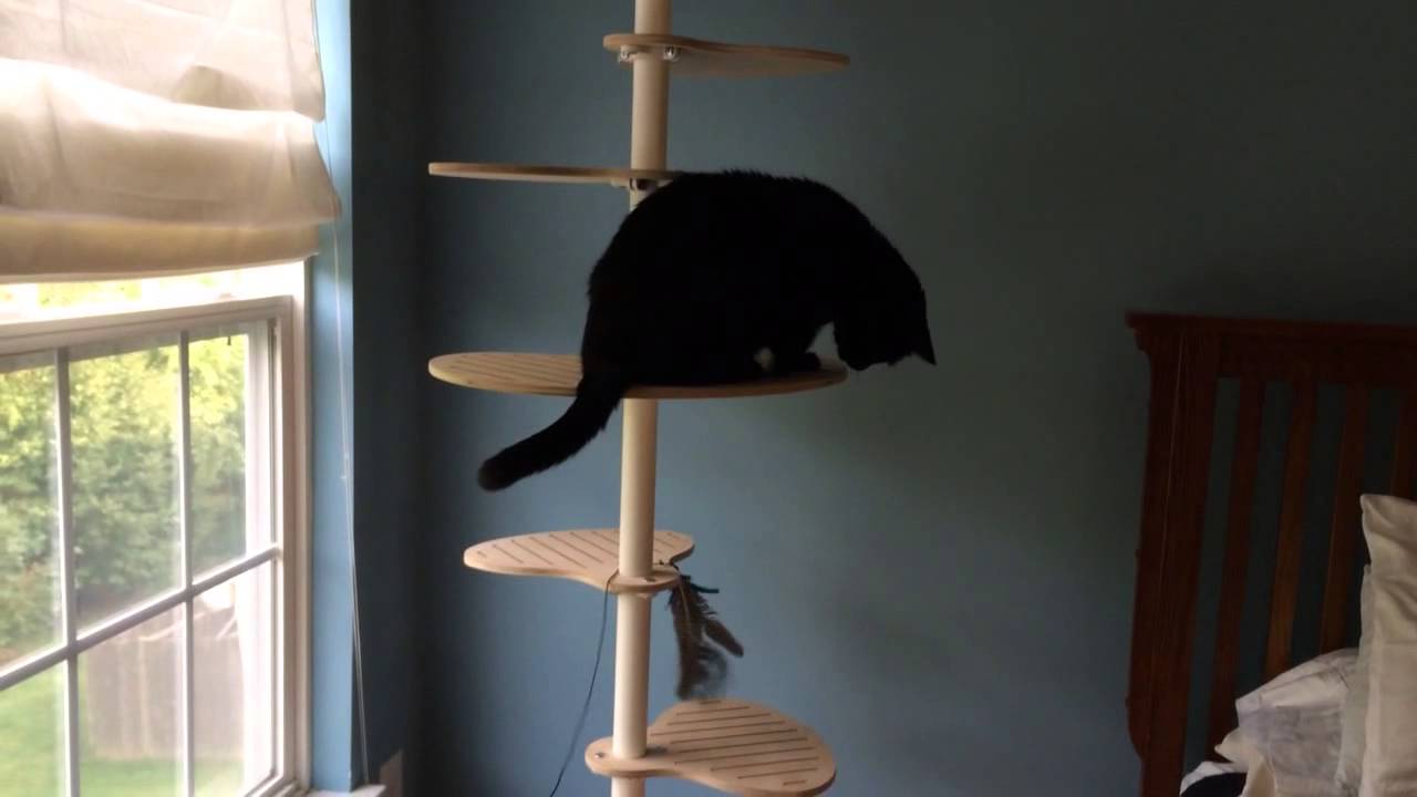 contempo cat tree