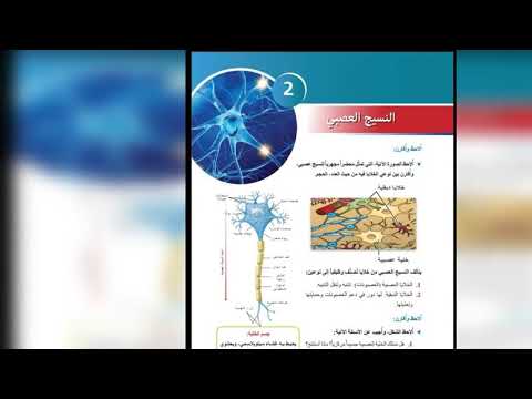 درس علوم النسيج العصبي 1