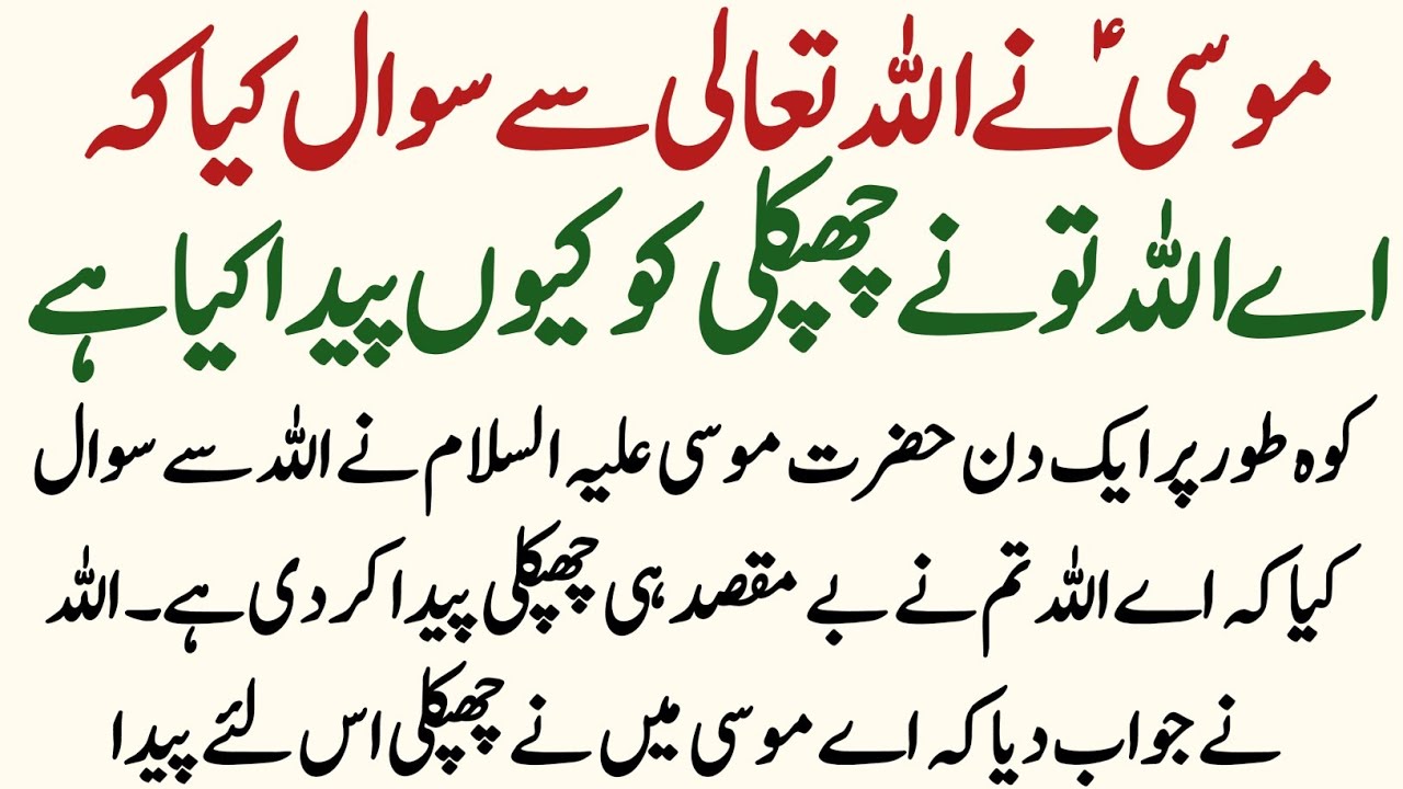 Allah se Pucha Giya Sawal Chipkali kiu hai | Islamic Moral Stories In Urdu Hindi | Waduha TV