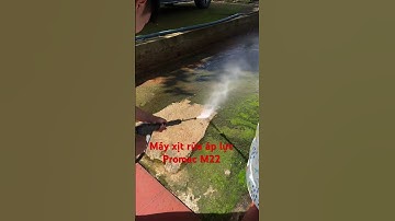 Máy xịt rửa rêu