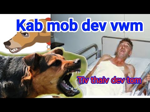 Video: 3 Txoj Hauv Kev Los Tiv Thaiv Kab Mob Cancer