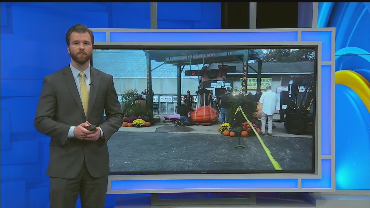 Winner announced in Giant Pumpkin Weigh Off in Canfield