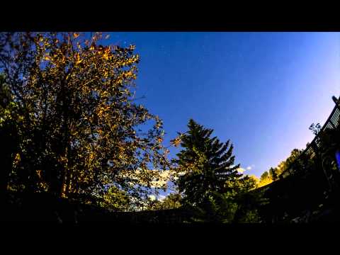 Backyard Timelapse Test with Dynamic Perception Dolly