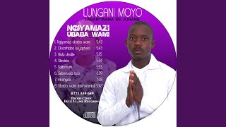 Sebenzela iZulu