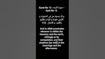 Surat No 13 : سورة الرعد - Ayat No 15 #surahrad #quranayat #shortvideo #quran  @quranpeaceofmind
