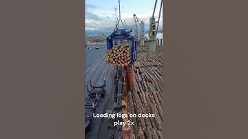 Loading logs on decks  #ship #logging #log #shipping #logger #ocean #loggingequipment  #tauranga
