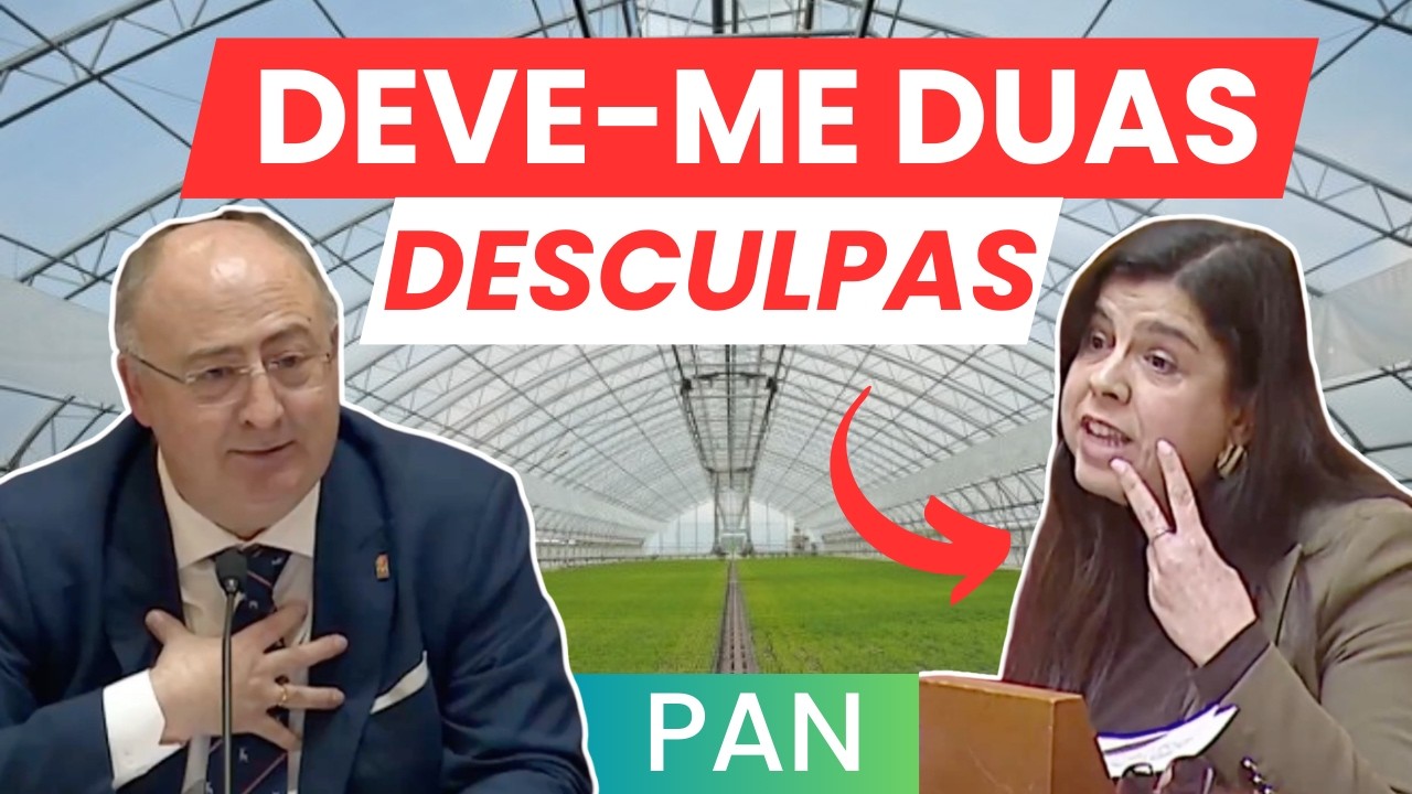 As estufas/túneis e as abelhas estrangeiras do PAN