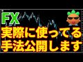 【FX】実際に使っている手法を公開します『聖杯！？』