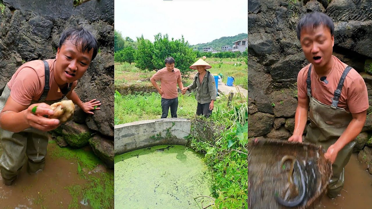 Giúp ông dọn giếng cổ, không ngờ dưới đáy lại đầy cá trê