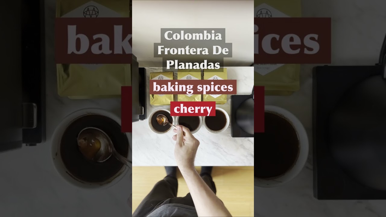 Tasting the Methodical Coffee sample box