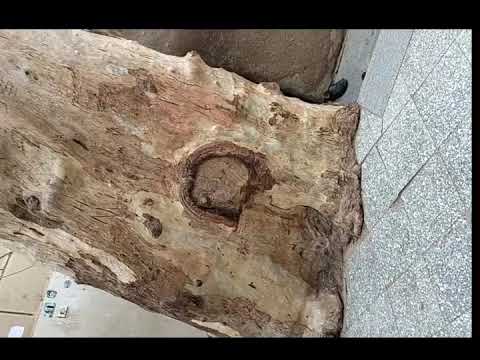 رحلة المنيا كنيسة ابونا عبد المسيح المناهرى