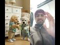 AI Dog Jo Sab Samajhta Hai 😲🐾”#puppy #shorts #virelvidio #trendingshorts #virtual