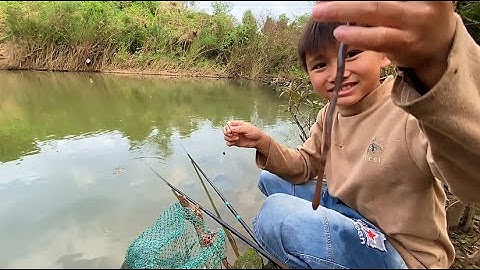 Sự Dụng Mồi Trùn Câu Cá Rô Cui / A chất tv