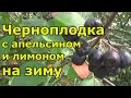 Черноплодка на зиму с апельсином и лимоном. Натуральное лекарство!