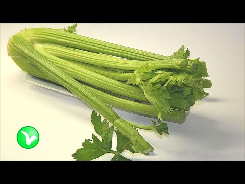 Видео: Что такое сельдерей: информация о растениях сельдерея