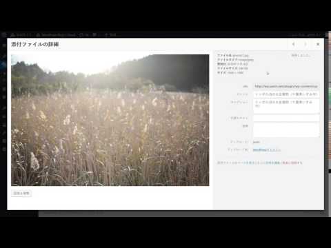 WordPressでキャプションの追加：Web技術指南書レビュー