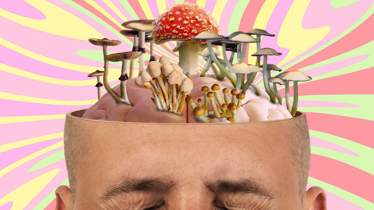 Mushrooms like neurons