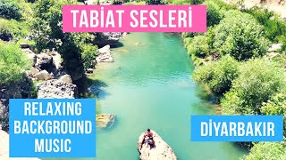 Dinlendirici Tabiat Sesleri Ve Müziği 4K Sarım Çayı, Kulp Diyarbakır