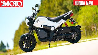 Llegó la Honda NAVi y te contamos todo by La Moto 133,668 views 3 months ago 7 minutes, 58 seconds