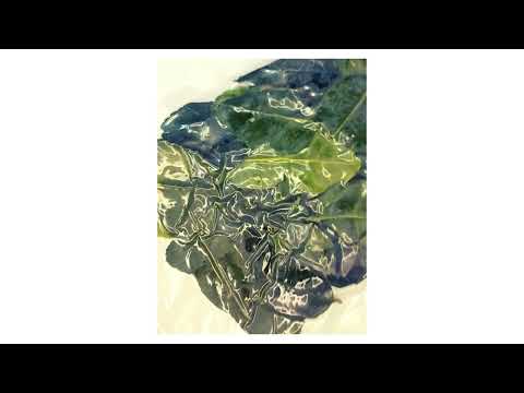 Листя лайма заморожені AROY-D 114 г, видео 1