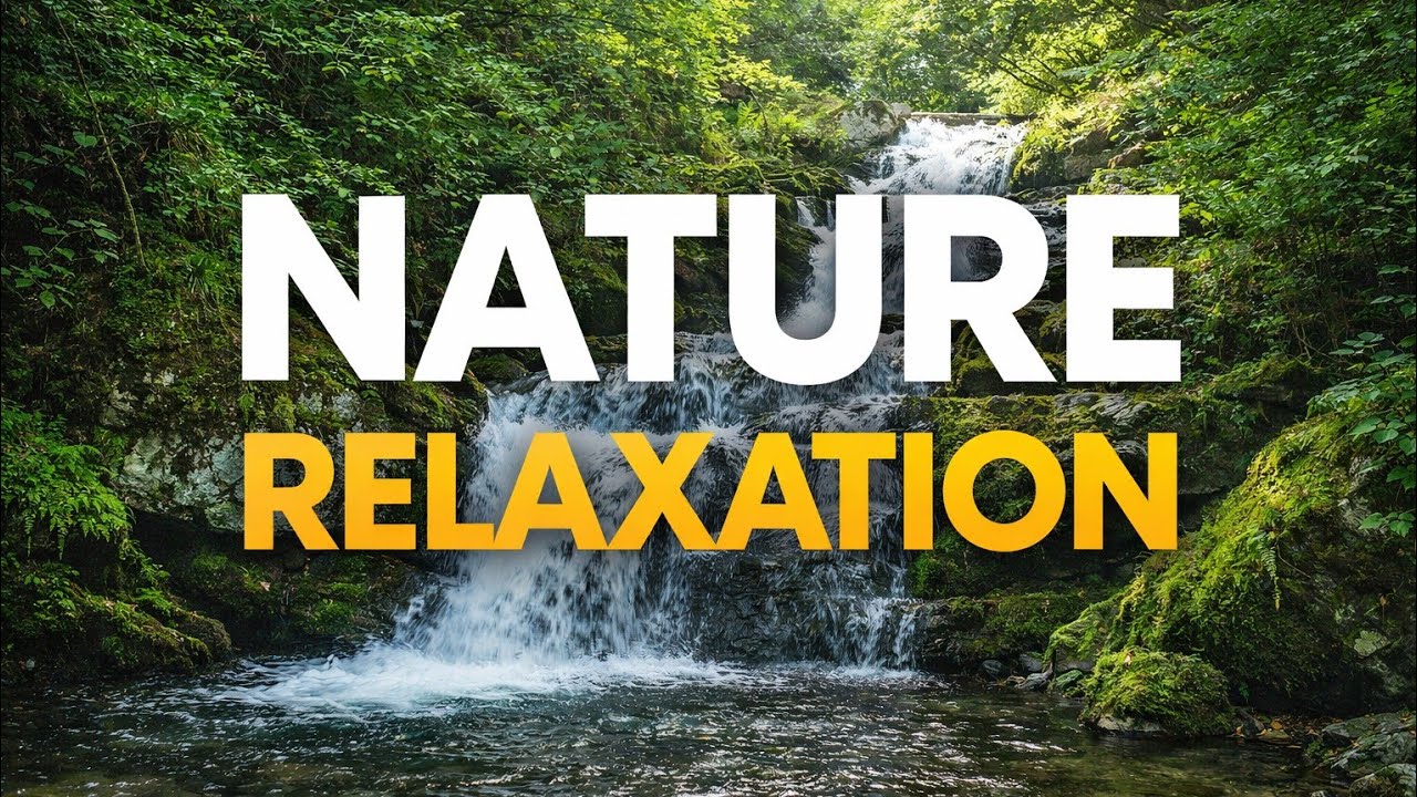 जब हमें VLOG का मतलब भी नहीं पता था 🥺 | 10 साल पुराना गाँव का वीडियो