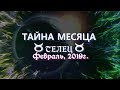 ТЕЛЕЦ февраль 2019г "ТАЙНА МЕСЯЦА" от Океаны Таро