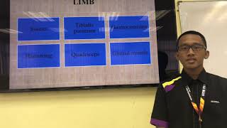 Biomechanics in hammer throw