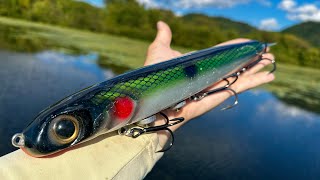 Fall Fishing GIGANTIC LURES for RIVER MONSTERS!