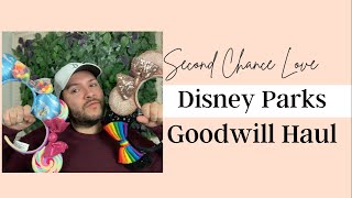 Disney Parks Goodwill Haul Unclaimed Lost and Found Merchandise from Disneyland
