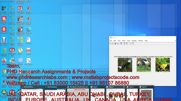 Bird Species Classification using CNN || Kaggle Dataset || CNN classification || MATLAB code
