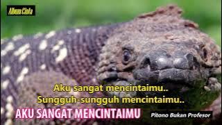 AKU SANGAT MENCINTAIMU HD