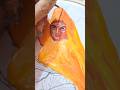 Painting the Legendary Warrior Mai Bhago Ji ⚔️🪯🙏 #Shorts #waheguru #khalsa #khanda #maibhago #sikh