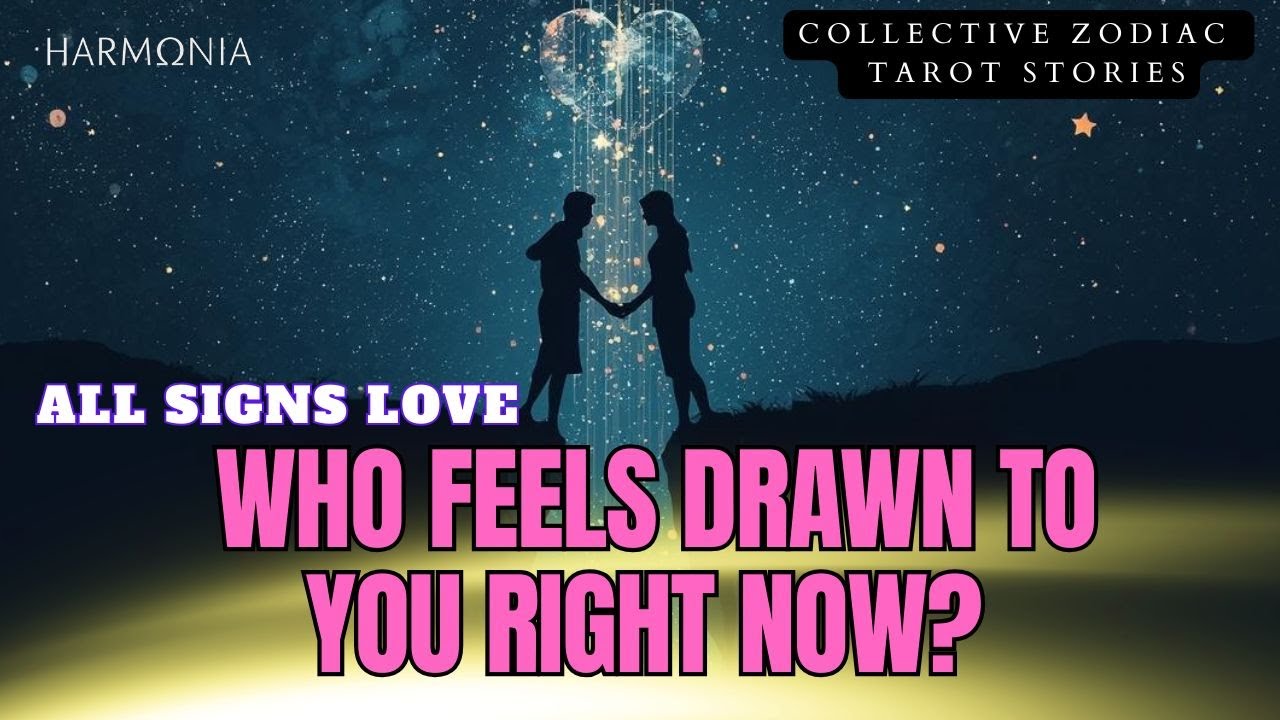 All Signs Love 💗 Who Feels Drawn to You Right Now? 💗 Timeless Tarot