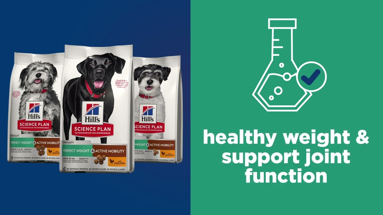 Hill's Science Plan Perfect Weight & Active Mobility