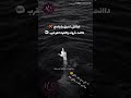 حالة واتس مهرجان البنت بتركب توك توك فريق الاحلام الدخلاوية 2019