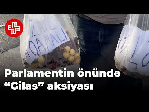 Bu il gilas yeməyən deputat Fəzail Ağamalı üçün vətəndaşlardan biri parlament önünə gilas gətirdi