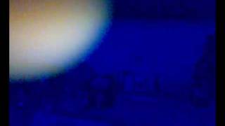 Rush Hütte Criewen Haha