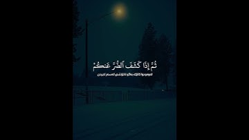 سورة النحل – الآية ٥٣-٥٥ | القارئ عبد الرحمن مسعد