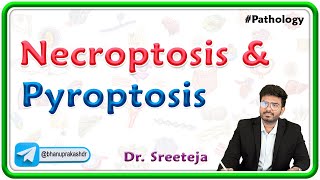 4. Necroptosis And Pyroptosis : USMLE Step 1