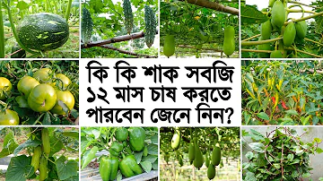 কি কি শাক সবজি ১২ মাসই চাষ করা যায় জেনে নিন | Vegetable Cultivation Process