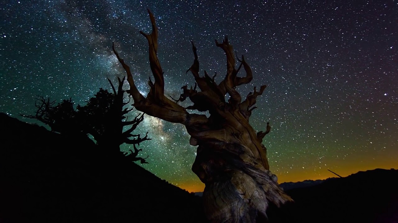 Guided Light Meditation/Protect Your Energy/Balance Chakra/Light Language/Higher Self/Soul