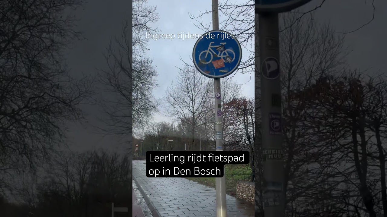 Ingreep tijdens de rijles