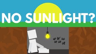 what would happen if you never saw the sun?