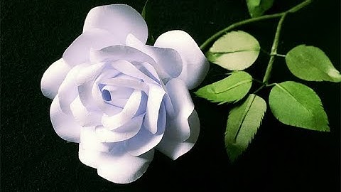 ABC TV | How To Make Rose Paper Flower With Shape Punch - Craft Tutorial