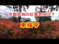 【京都屈指の紅葉名所・東福寺・Explore Japan】Wanna see the autumn leaves in Kyoto? Must visit Tofukuji Temple!