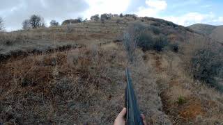 Domuz Avıwild Boar Hunting Tek Ve Net Atış.